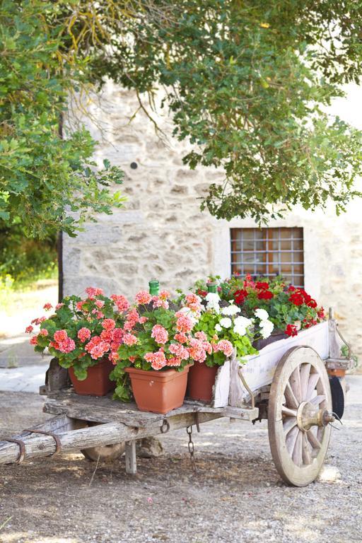 Agriturismo Tenuta Armaiolo Rapolano Terme Εξωτερικό φωτογραφία